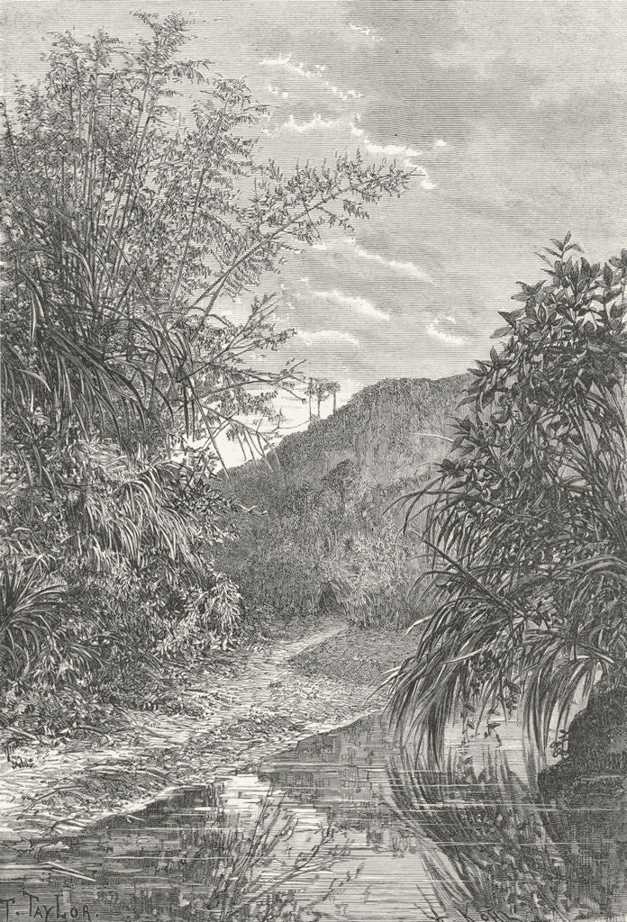 TAIWAN. Highland Landscape c1885 old antique vintage print picture